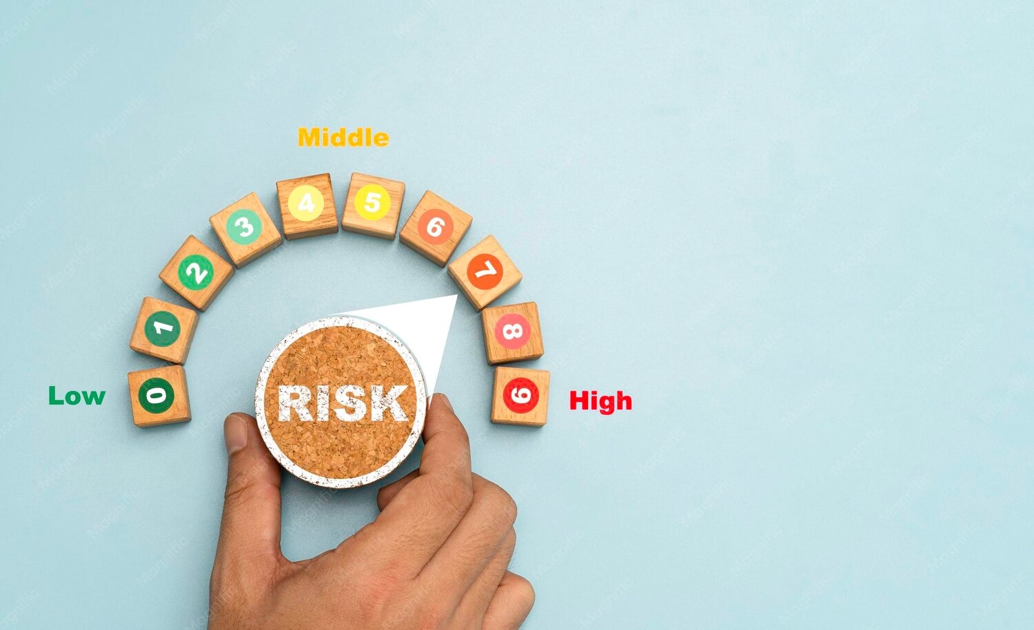 Risk Advisory